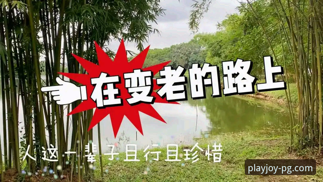 从新手到老手的必经之路：分享5个关于PG娱乐APP真实评价与使用心得
